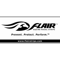 Flair Nasal Strips