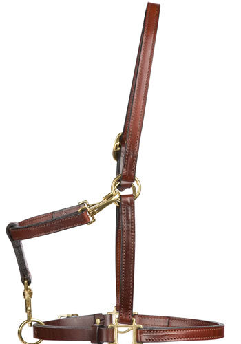 Grooming headcollar