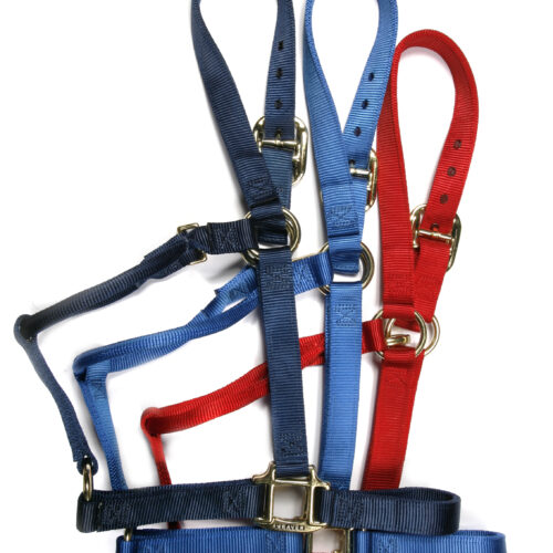 Nylon Halter with clip