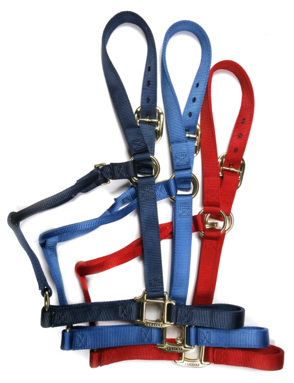 Nylon Halter with clip