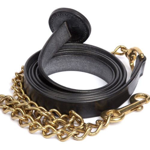 Leather lead and Stallion Chain
