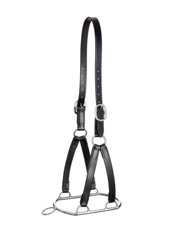 stephens-controller-headcollar