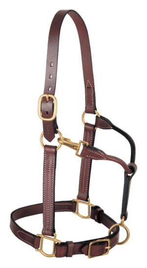 Weaver-Adjustable-Headcollar-(1″)