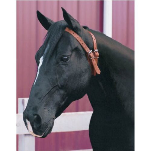 weaver mirical collar on horrse