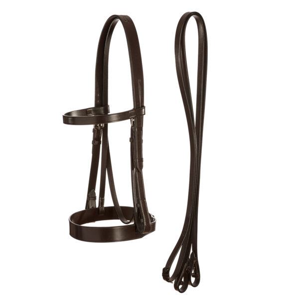 Polo Bridle and reins
