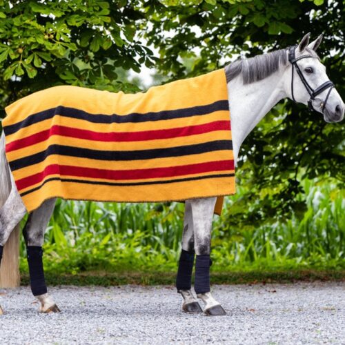 Newmarket-horse-blanket