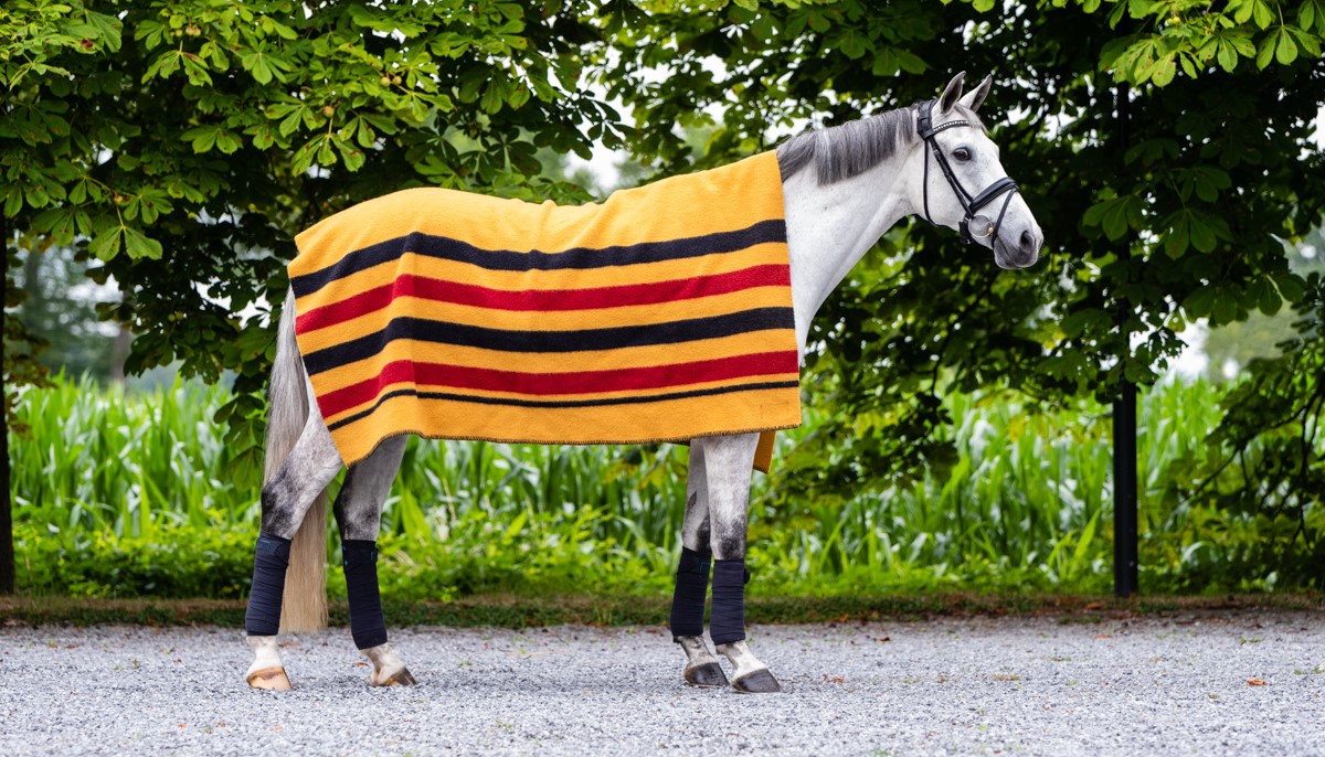 Horse Rug Holder for Horse Blanket