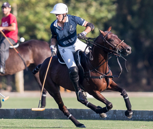 Gonzalito Polo Saddle