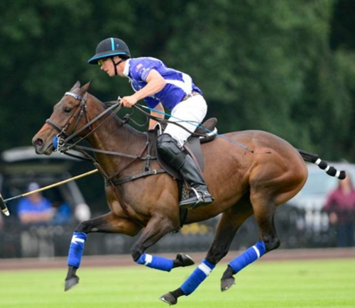 Gonzalito Polo Saddle