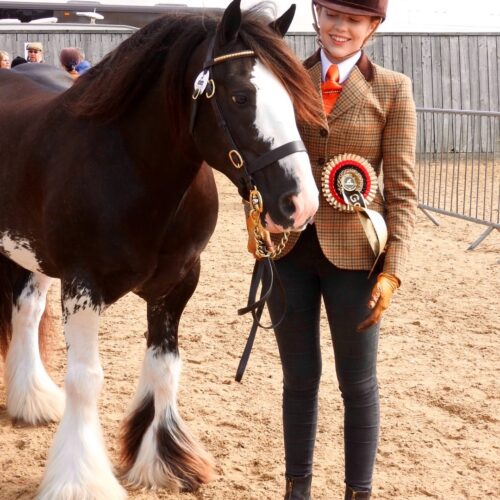 Jo Waterhouse, ambassador show rider, updates us on her latest exploits!