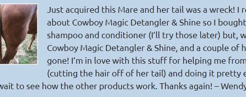 See what customers say about our range of Cowboy Magic horse grooming grooming products…