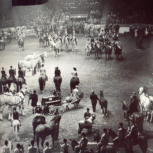 Can it really be HOYS time again? The most exciting show of the year is upon us!