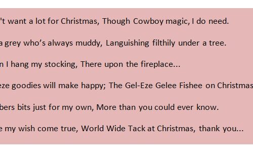 Equestrian gifts at Christmas, Just a few horsey things that I need! “World Wide Tack at Christmas, thank you…”