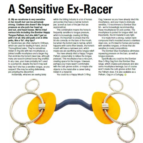 Bomber Blue 3-Ring Gag for an Ex-racehorse