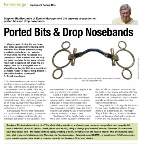 Should I switch my drop noseband to a cavesson, asks a polo player…