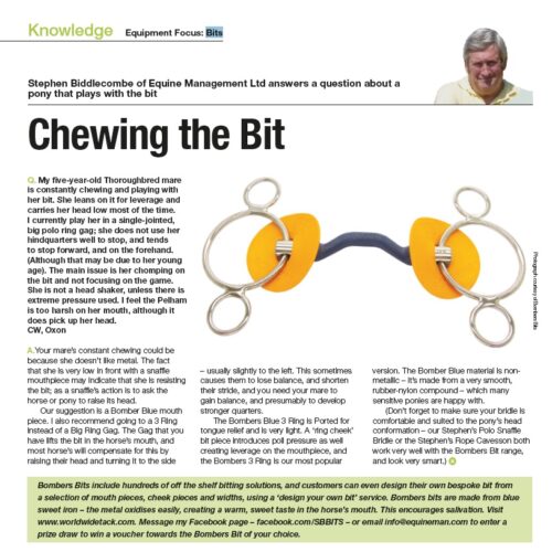 Stephen Biddlecombe advises a Polo Times reader on bitting