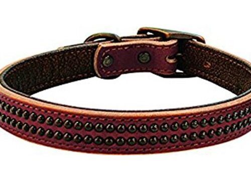 Weaver dog collar havana