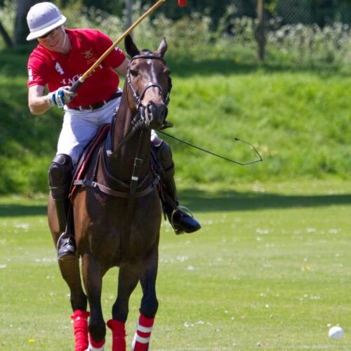 Updated polo fixtures, post COVID-19. Plus, TOP SELLING polo products