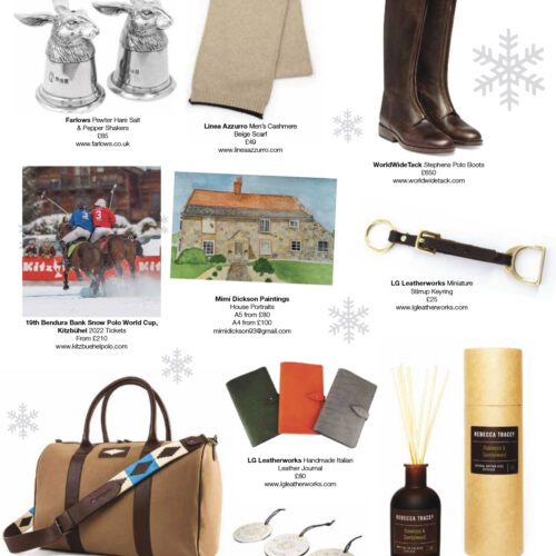 @PoloTimes showcases Stephens polo boots