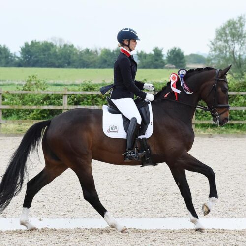 #TeamBombers dressage rider Hannah Biggs shares her views