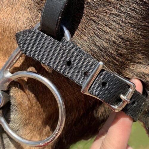nylon-curb-strap